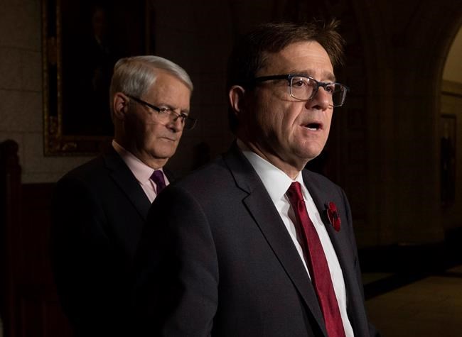 Federal government announces new measures for killer whale protection | iNFOnews.ca Federal government announces new measures for killer whale protection | iNFOnews.ca