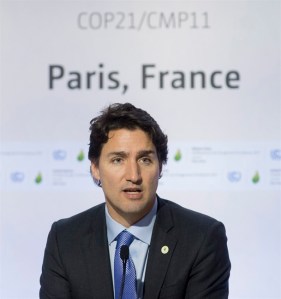CP35514776
