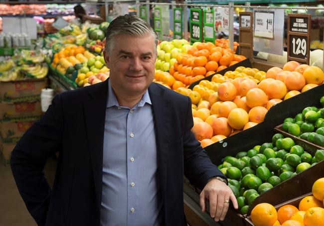Ottawa-based grocery chain looking to southern Ontario and Toronto for growth | iNFOnews.ca