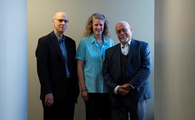 New tool launched to shine light on ethnic media coverage of election issues | iNFOnews.ca