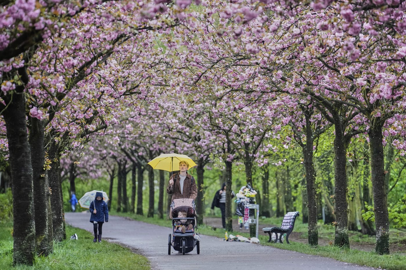 PHOTO COLLECTION: Spring Weather | iNFOnews.ca