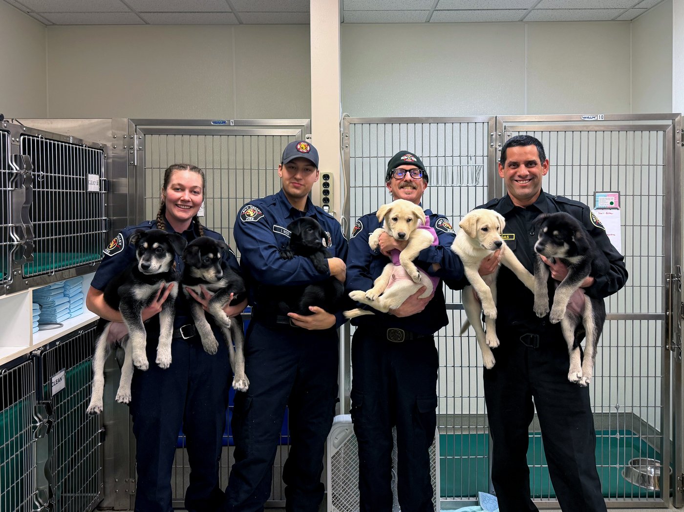 6 puppies treated for a suspected opioid overdose in Washington will find new homes soon | iNFOnews.ca 6 puppies treated for a suspected opioid overdose in Washington will find new homes soon | iNFOnews.ca