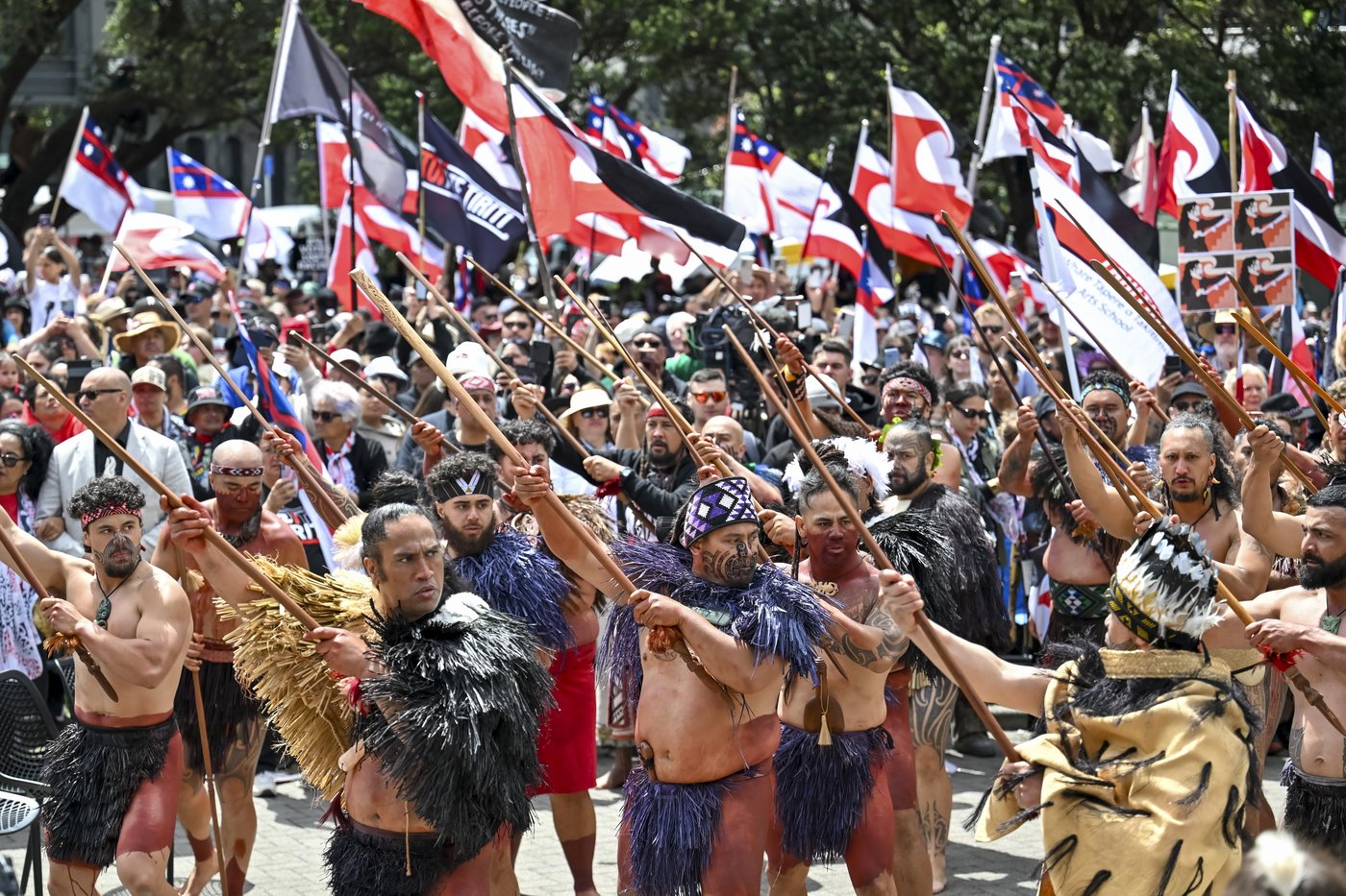 35,000 crowd New Zealand's Parliament grounds in support of Māori rights | iNFOnews.ca