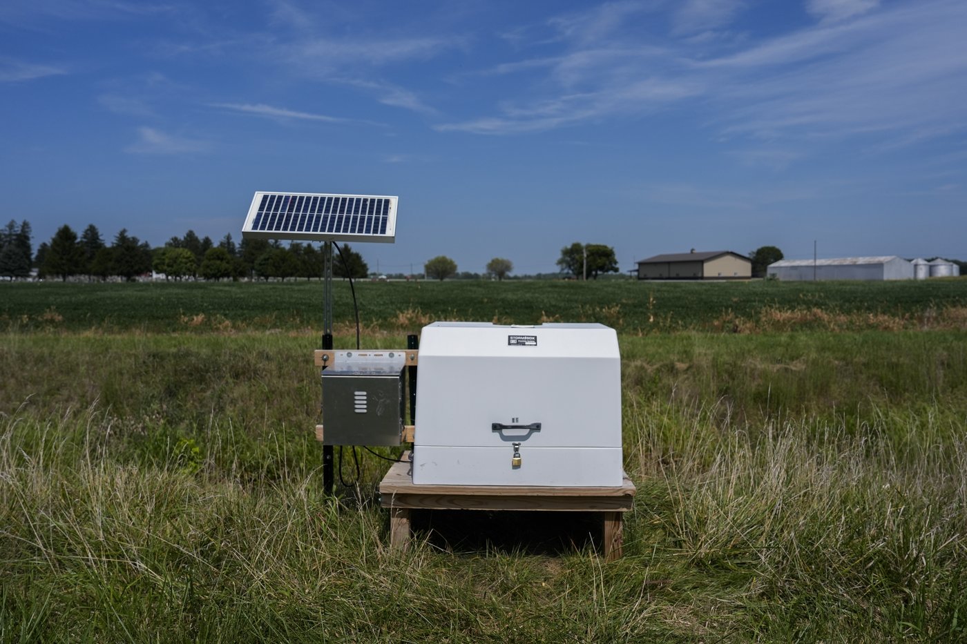 On Lake Erie, getting rid of problem algae starts with giving it less food | iNFOnews.ca