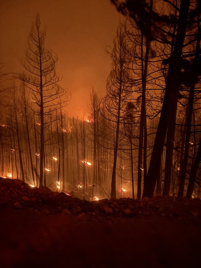The fight for Faulder: When B.C. brothers fought to save home from raging fire | iNFOnews.ca