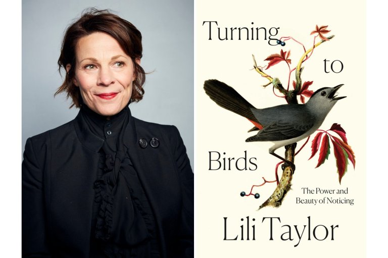 Lili Taylor, Keith McNally and Andrew Ross Sorkin are among Gotham Book Prize finalists | iNFOnews.ca
