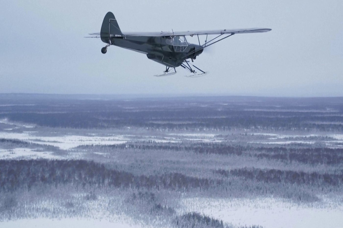 'It's a bird! It's a plane!' In Alaska, it's both, with a pilot dropping turkeys off to rural homes | iNFOnews.ca