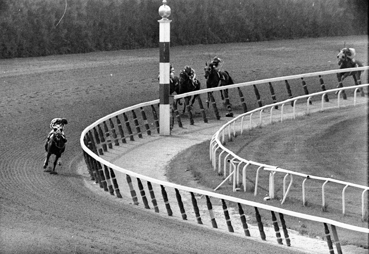 Ron Turcotte, who rode Secretariat to the 1973 Triple Crown, dead at 84 | iNFOnews.ca Ron Turcotte, who rode Secretariat to the 1973 Triple Crown, dead at 84 | iNFOnews.ca