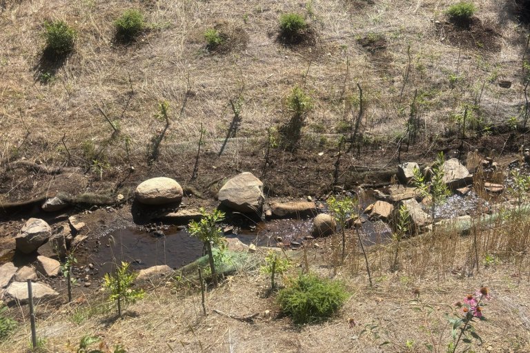 Living shorelines in Maine show mixed success | iNFOnews.ca