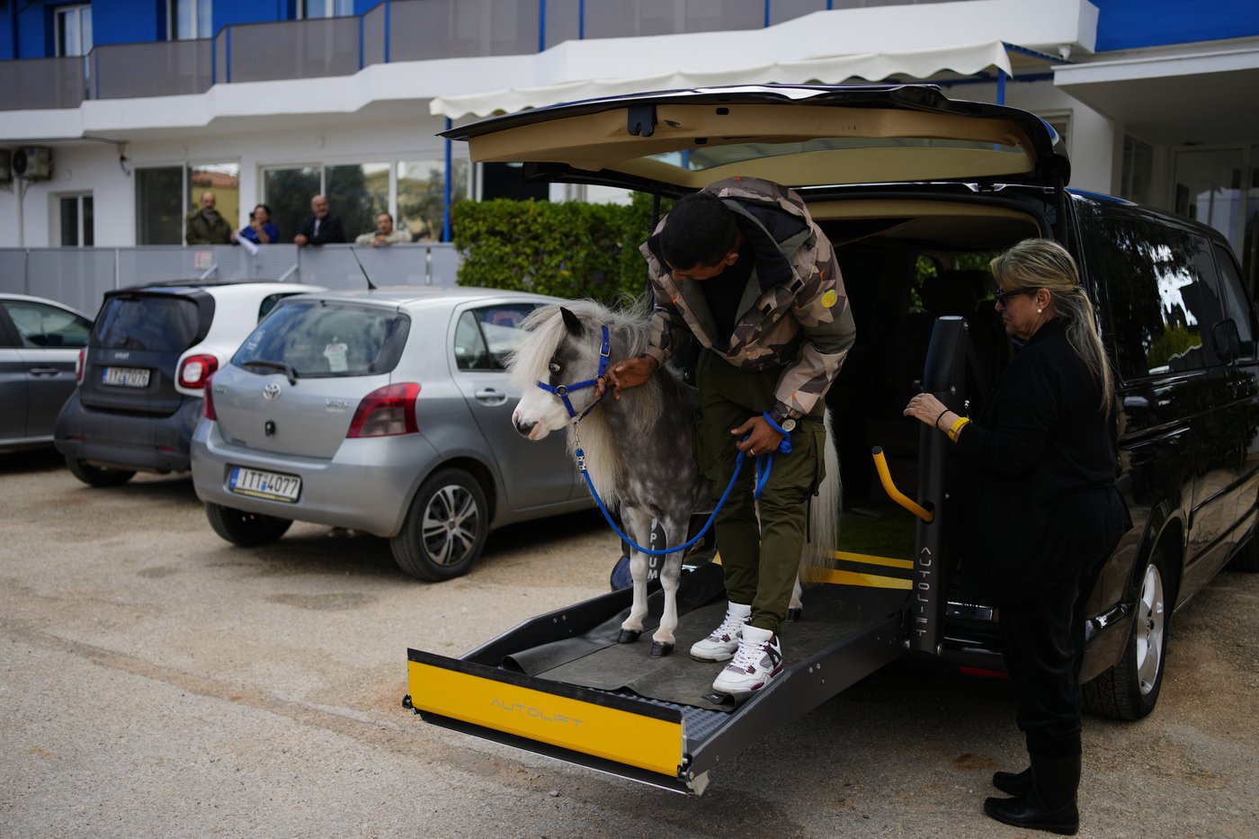 Greece's only miniature therapy horses bring joy to many, but their charity is struggling | iNFOnews.ca