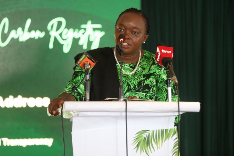 Kenya unveils carbon market rule book and caps the overseas sale of carbon credits | iNFOnews.ca