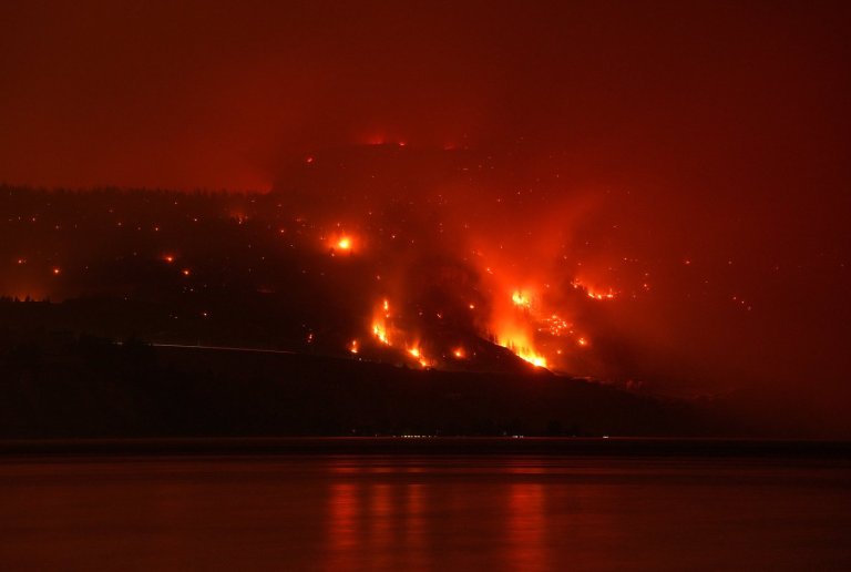 What to know about the Bald Range fire and B.C.'s wildfire emergency | iNFOnews.ca