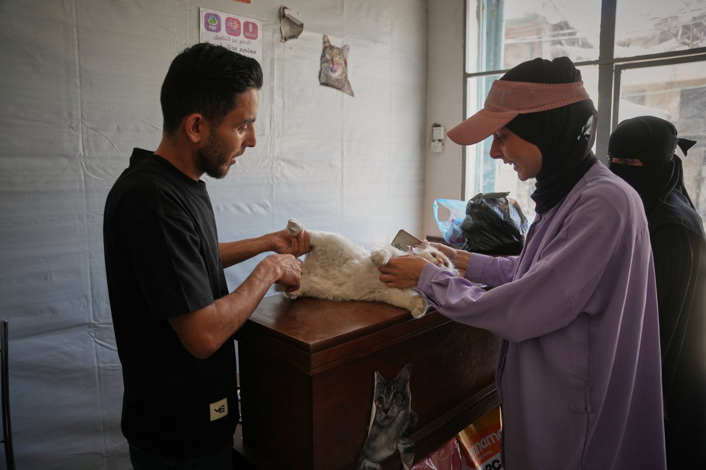 Photos of a rare veterinary clinic still open in war-battered Gaza | iNFOnews.ca