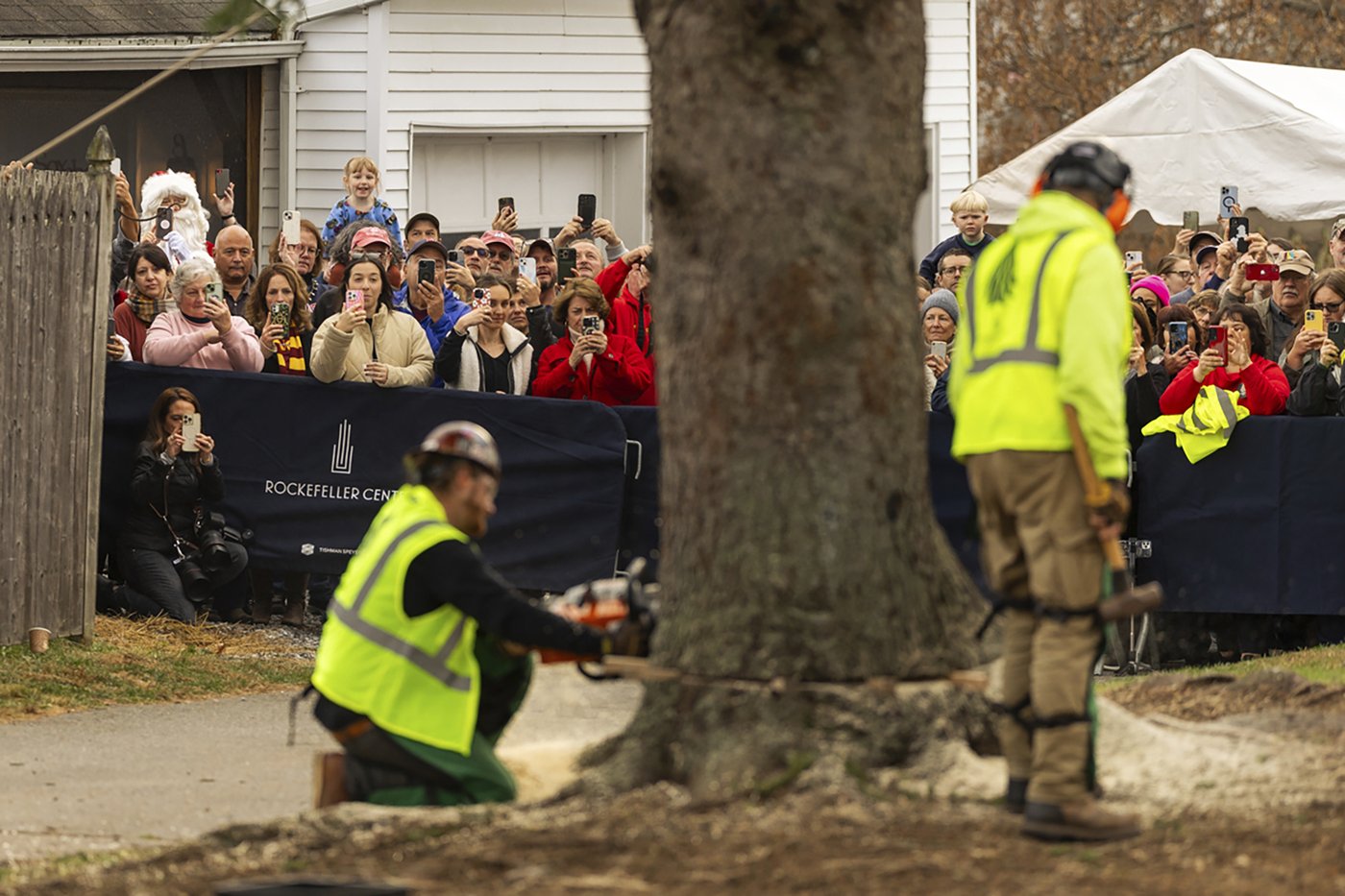 A green giant: This year's 74-foot Rockefeller Center Christmas tree is en route from Massachusetts | iNFOnews.ca