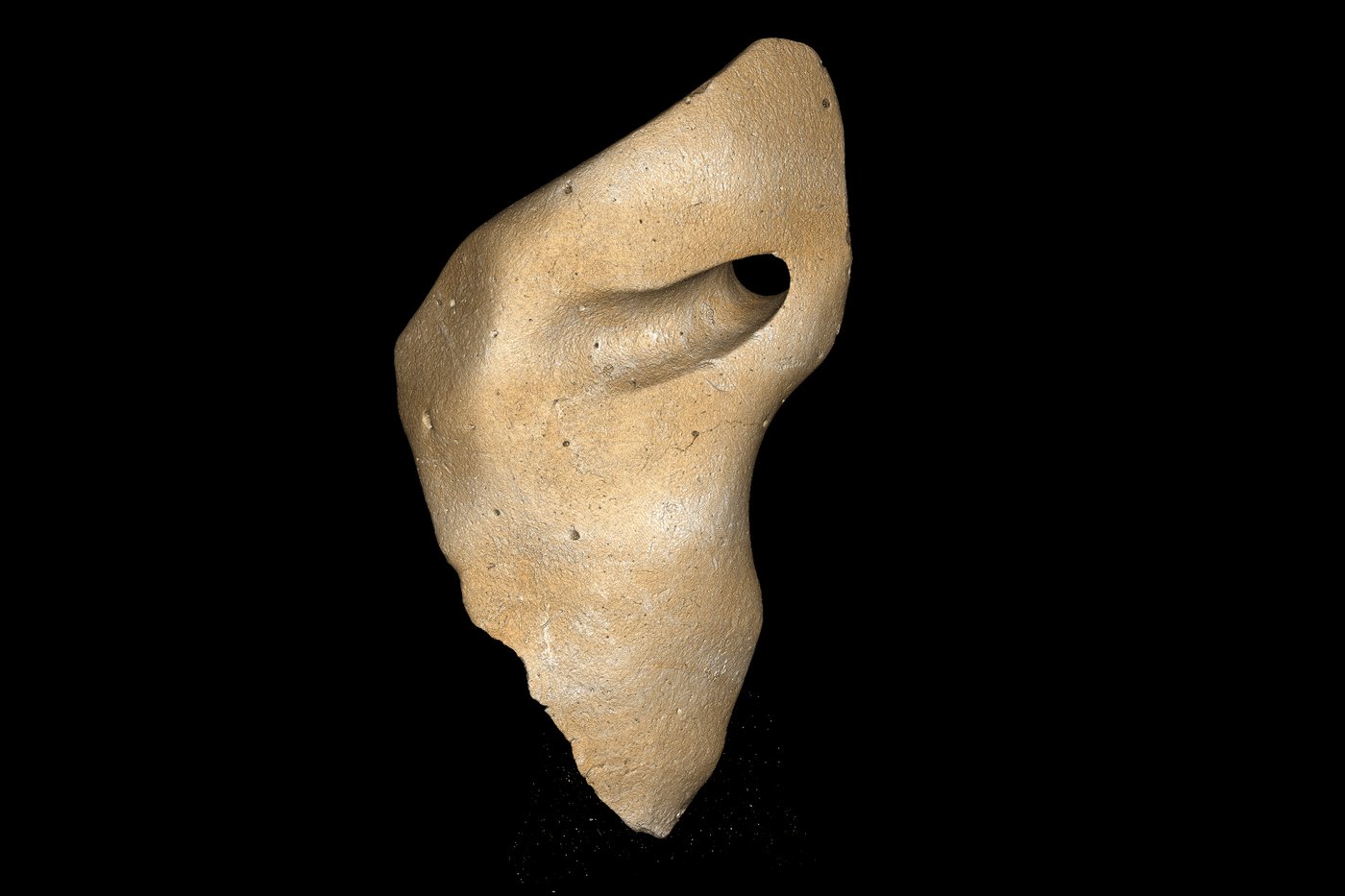 Giant sloths and mastodons coexisted with humans for millennia in Americas, new discoveries suggest | iNFOnews.ca Giant sloths and mastodons coexisted with humans for millennia in Americas, new discoveries suggest | iNFOnews.ca