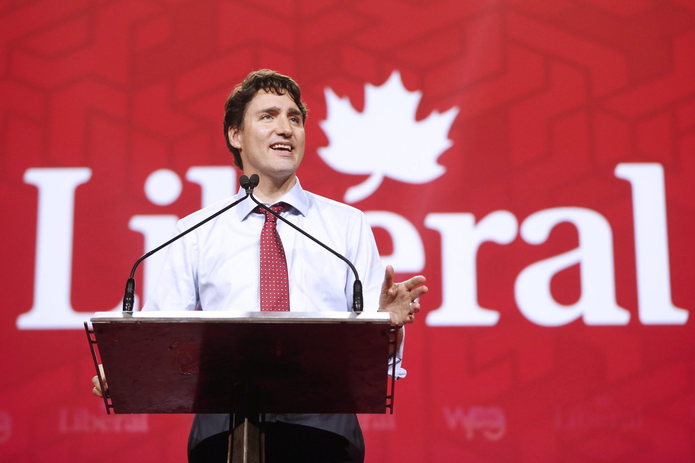 Timeline: The highs and lows of Trudeau's political life | iNFOnews.ca