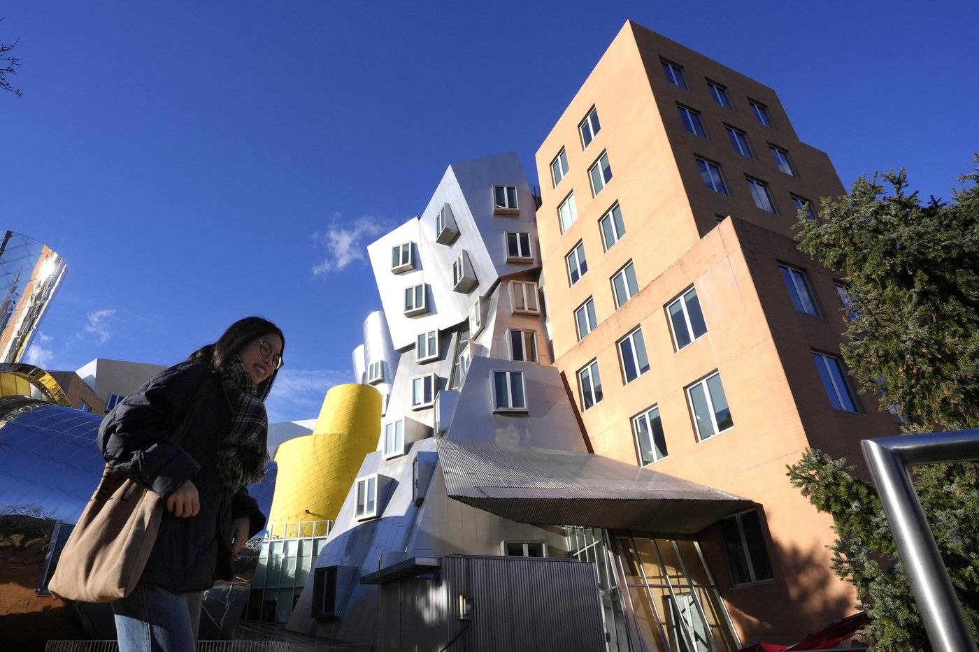 International students urged to return to US campuses before Trump inauguration | iNFOnews.ca International students urged to return to US campuses before Trump inauguration | iNFOnews.ca