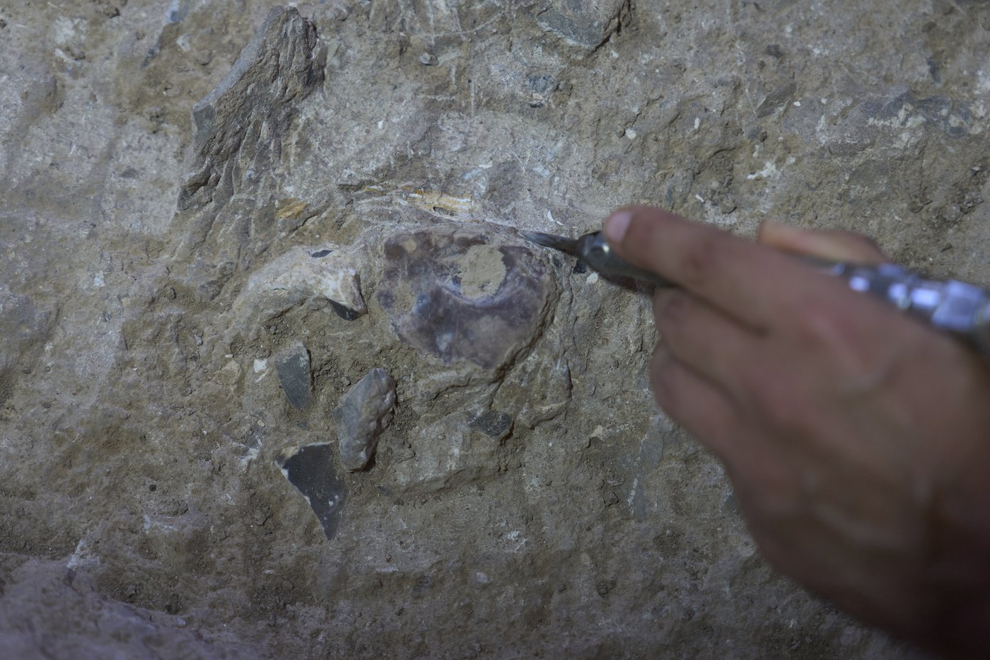 A 100,000-year-old burial site in Israel is changing what we know about early humans | iNFOnews.ca A 100,000-year-old burial site in Israel is changing what we know about early humans | iNFOnews.ca