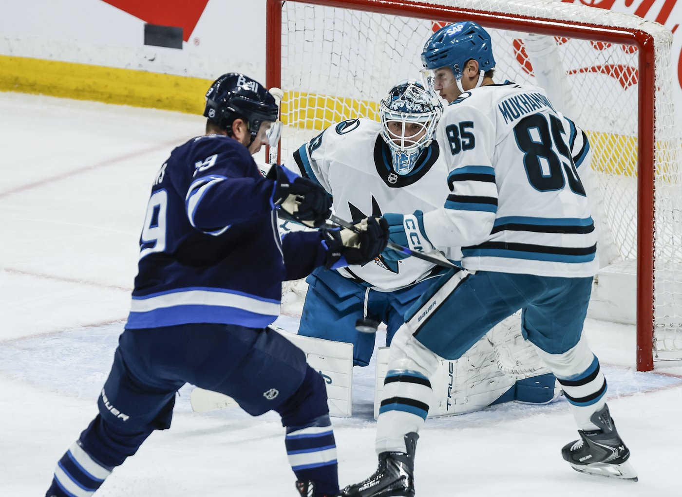 Celebrini sets Sharks' points record in 6-1 season-ending win over Jets | iNFOnews.ca Celebrini sets Sharks' points record in 6-1 season-ending win over Jets | iNFOnews.ca