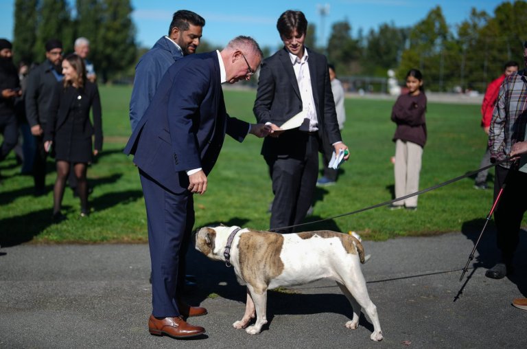B.C. Conservatives back in battleground Surrey on election trail | iNFOnews.ca