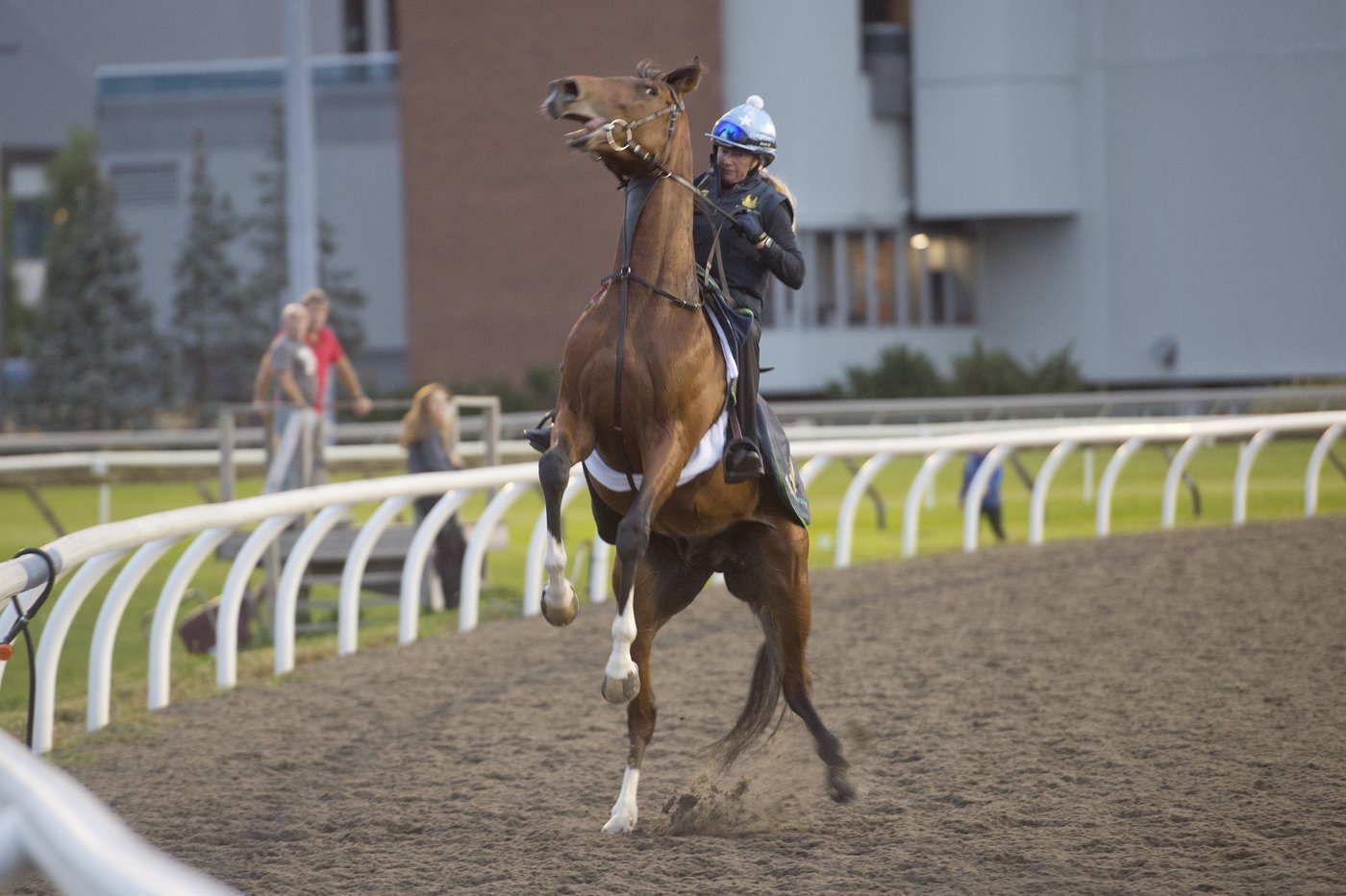 Godolphin, trainer Charlie Appleby both chasing more success at Woodbine Racetrack | iNFOnews.ca Godolphin, trainer Charlie Appleby both chasing more success at Woodbine Racetrack | iNFOnews.ca