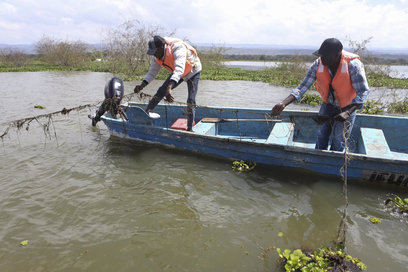How the invasive water hyacinth is threatening fishermen's livelihoods on a popular Kenyan lake | iNFOnews.ca