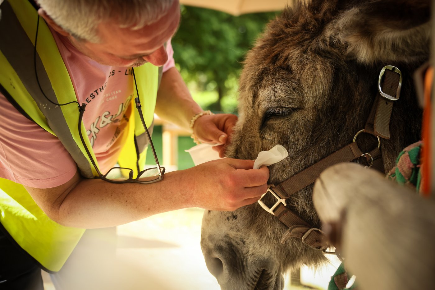 Patients find help with therapy donkeys at psychiatric hospital near Paris | iNFOnews.ca