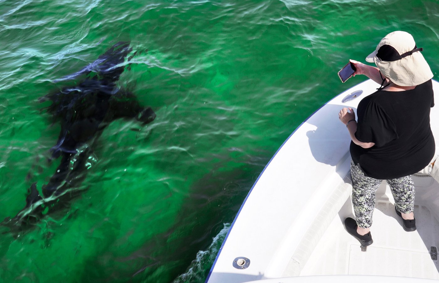 Shark attack on Alabama teen inspires the start of a national alert system | iNFOnews.ca Shark attack on Alabama teen inspires the start of a national alert system | iNFOnews.ca