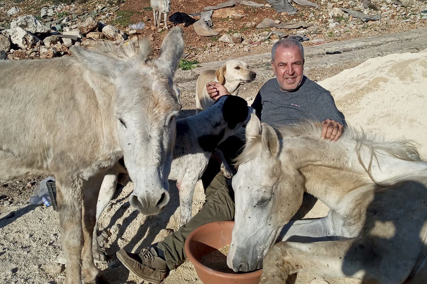 A man in South Lebanon cares for pets left behind as residents flee Israeli bombs | iNFOnews.ca