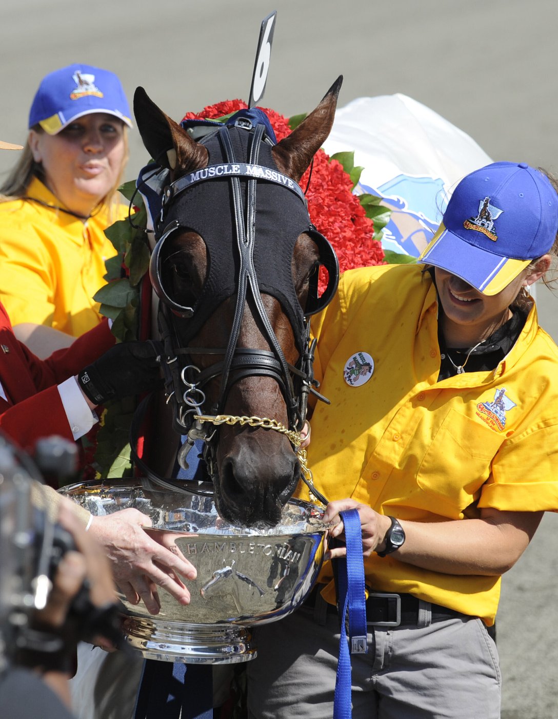 100th running of the Hambletonian marks a century of the biggest event in harness racing | iNFOnews.ca 100th running of the Hambletonian marks a century of the biggest event in harness racing | iNFOnews.ca