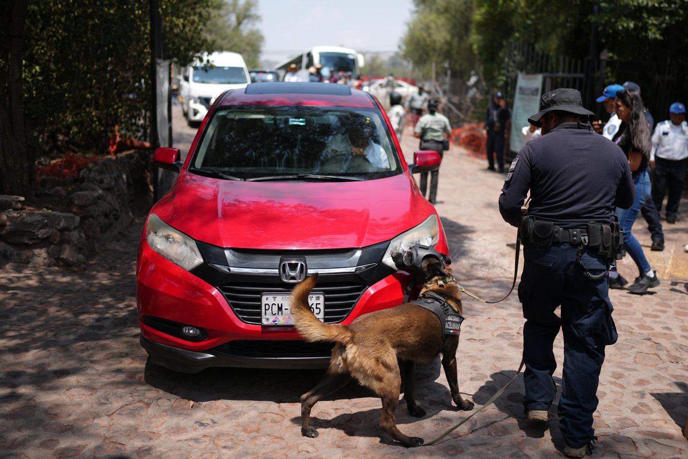 Mexico to beef up security at tourist sites after shooting at pyramids in lead up to World Cup | iNFOnews.ca