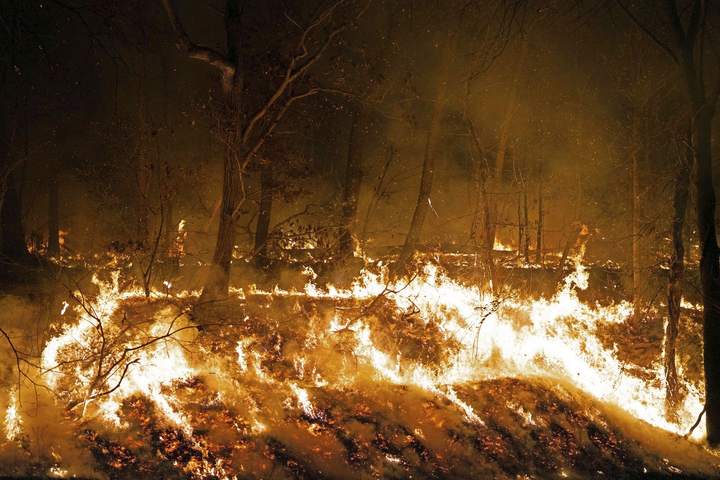 Aided by rain, crews extinguish a wildfire in Nevada after 1 home burns | iNFOnews.ca