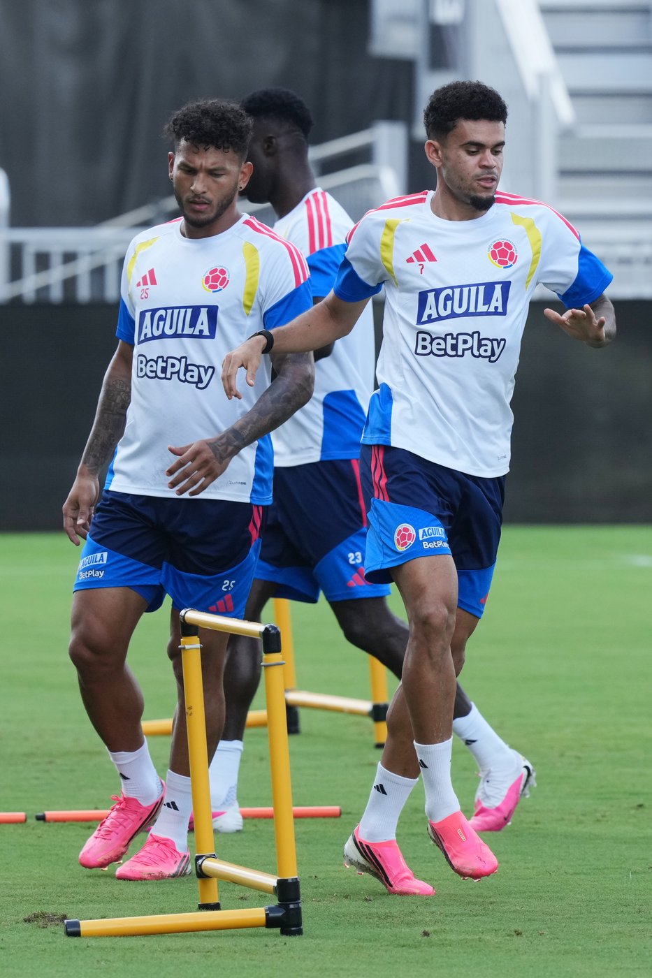 World Cup what to know: Messi looks to add to career goals lead when Argentina faces Cape Verde | iNFOnews.ca World Cup what to know: Messi looks to add to career goals lead when Argentina faces Cape Verde | iNFOnews.ca