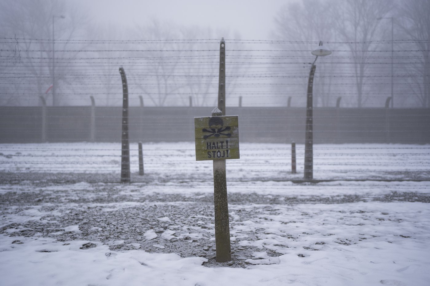PHOTO COLLECTION: Poland Auschwitz 80th Anniversary | iNFOnews.ca