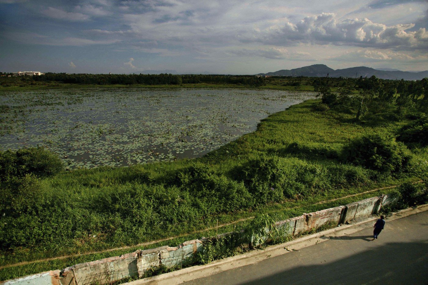 Takeaways from the AP's report on how USAID cuts are imperiling Agent Orange cleanup | iNFOnews.ca Takeaways from the AP's report on how USAID cuts are imperiling Agent Orange cleanup | iNFOnews.ca