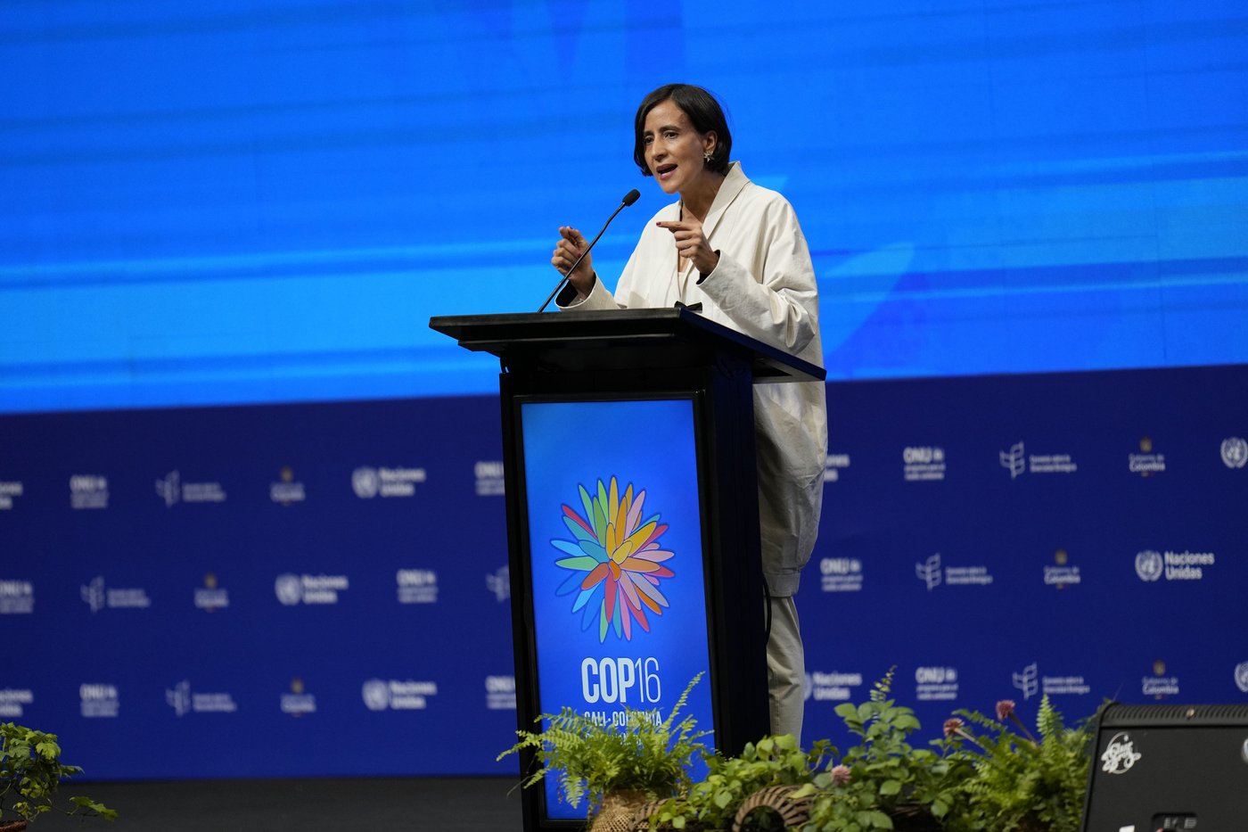 Negotiations stall over some crucial issues on final day of UN biodiversity summit in Colombia | iNFOnews.ca