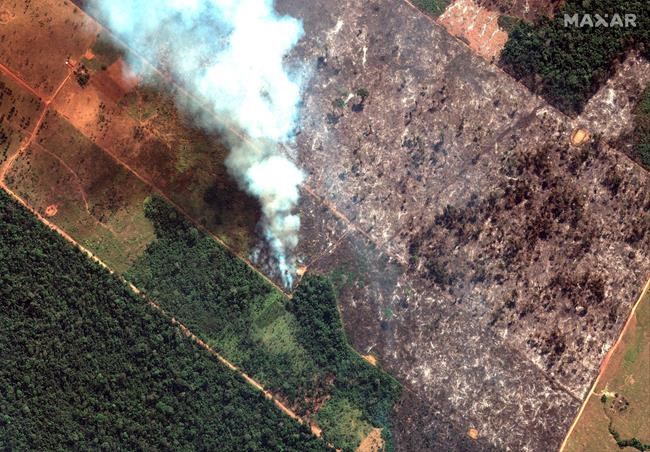 G7 leaders should step up own climate plans to help the Amazon, Greenpeace says | iNFOnews.ca G7 leaders should step up own climate plans to help the Amazon, Greenpeace says | iNFOnews.ca