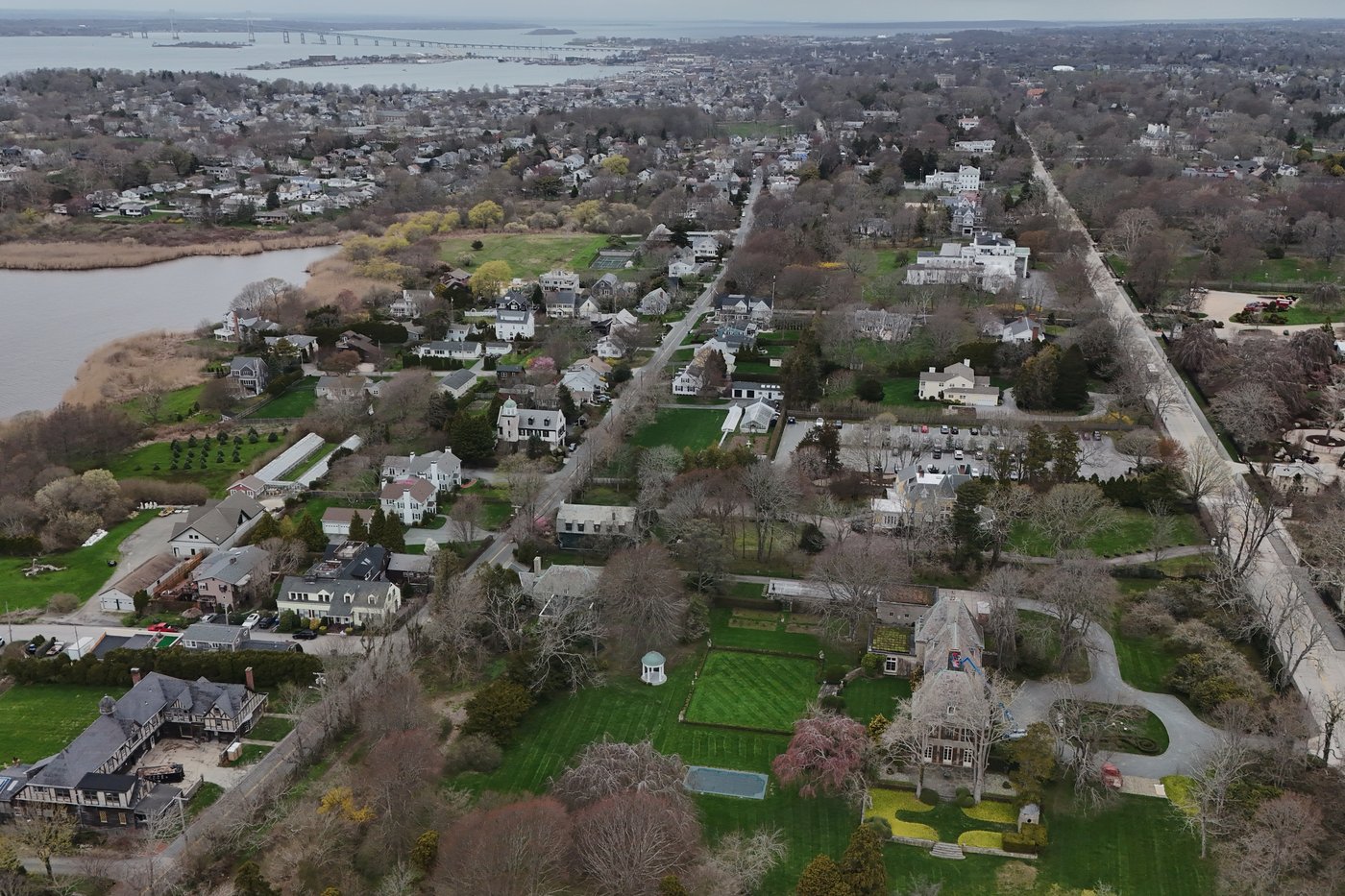 Trees are magic. In Newport, volunteers are working to expand their healthy reach | iNFOnews.ca
