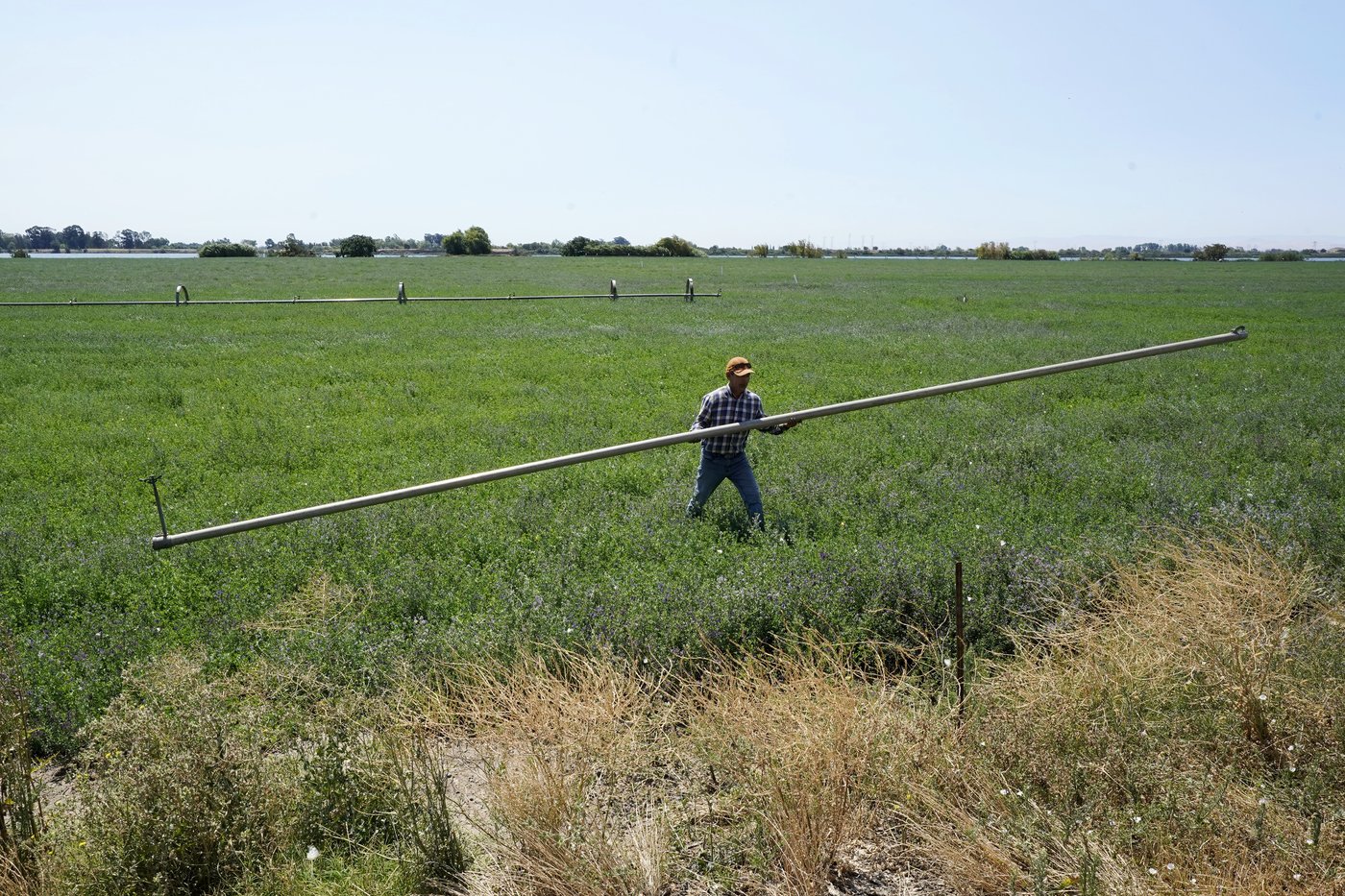 California farmers are hopeful Trump administration will deliver more water to fields | iNFOnews.ca California farmers are hopeful Trump administration will deliver more water to fields | iNFOnews.ca
