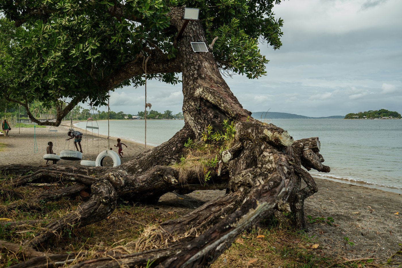 From dying reefs to flooded graves, Vanuatu is leading a global climate case | iNFOnews.ca From dying reefs to flooded graves, Vanuatu is leading a global climate case | iNFOnews.ca