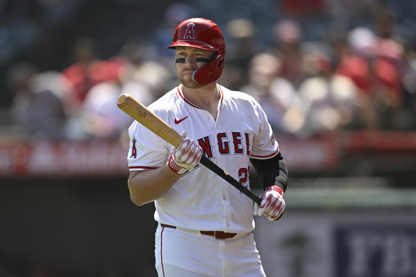 White Sox agree to a minor league contract with infielder Brandon Drury | iNFOnews.ca