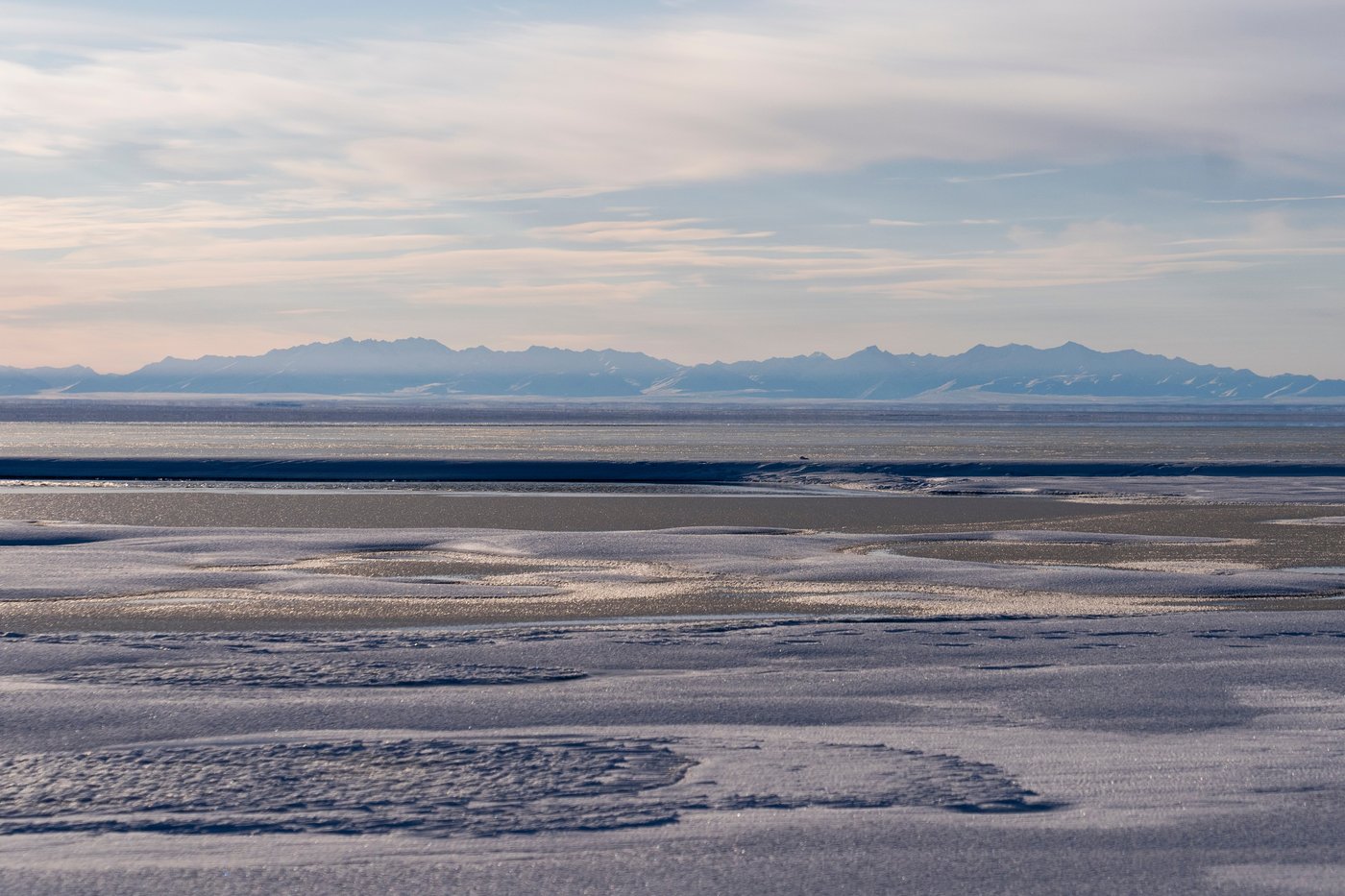 A tiny Arctic village in Alaska is trying to revive its polar bear tourism industry | iNFOnews.ca