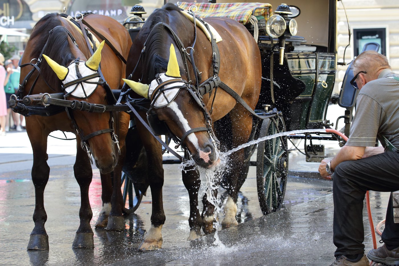 An early heat wave hits Europe, in photos | iNFOnews.ca
