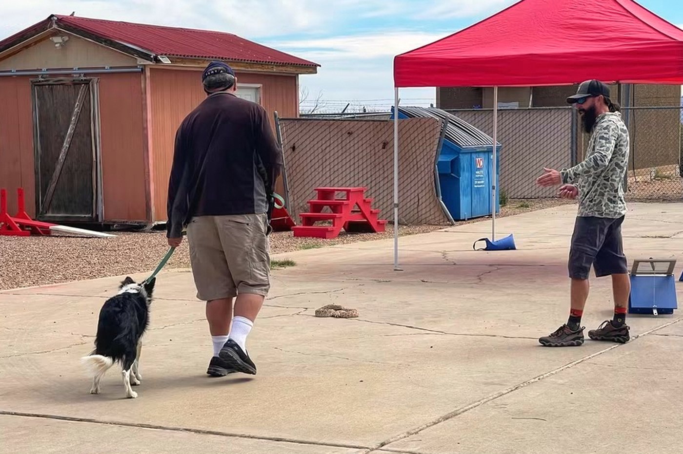 Leave it: Dog trainers help pets avoid venomous snakes | iNFOnews.ca