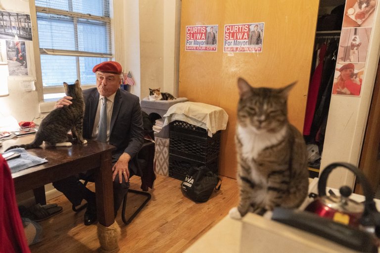 Trump dismisses cat-loving NYC Republican candidate for mayor as 'not exactly prime time' | iNFOnews.ca