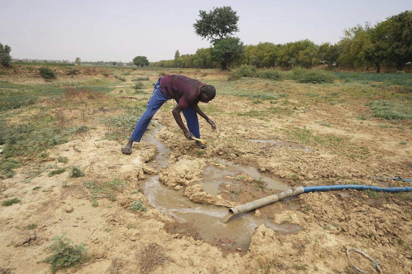 Nigeria has a food security problem as water for crops is harder to find | iNFOnews.ca Nigeria has a food security problem as water for crops is harder to find | iNFOnews.ca
