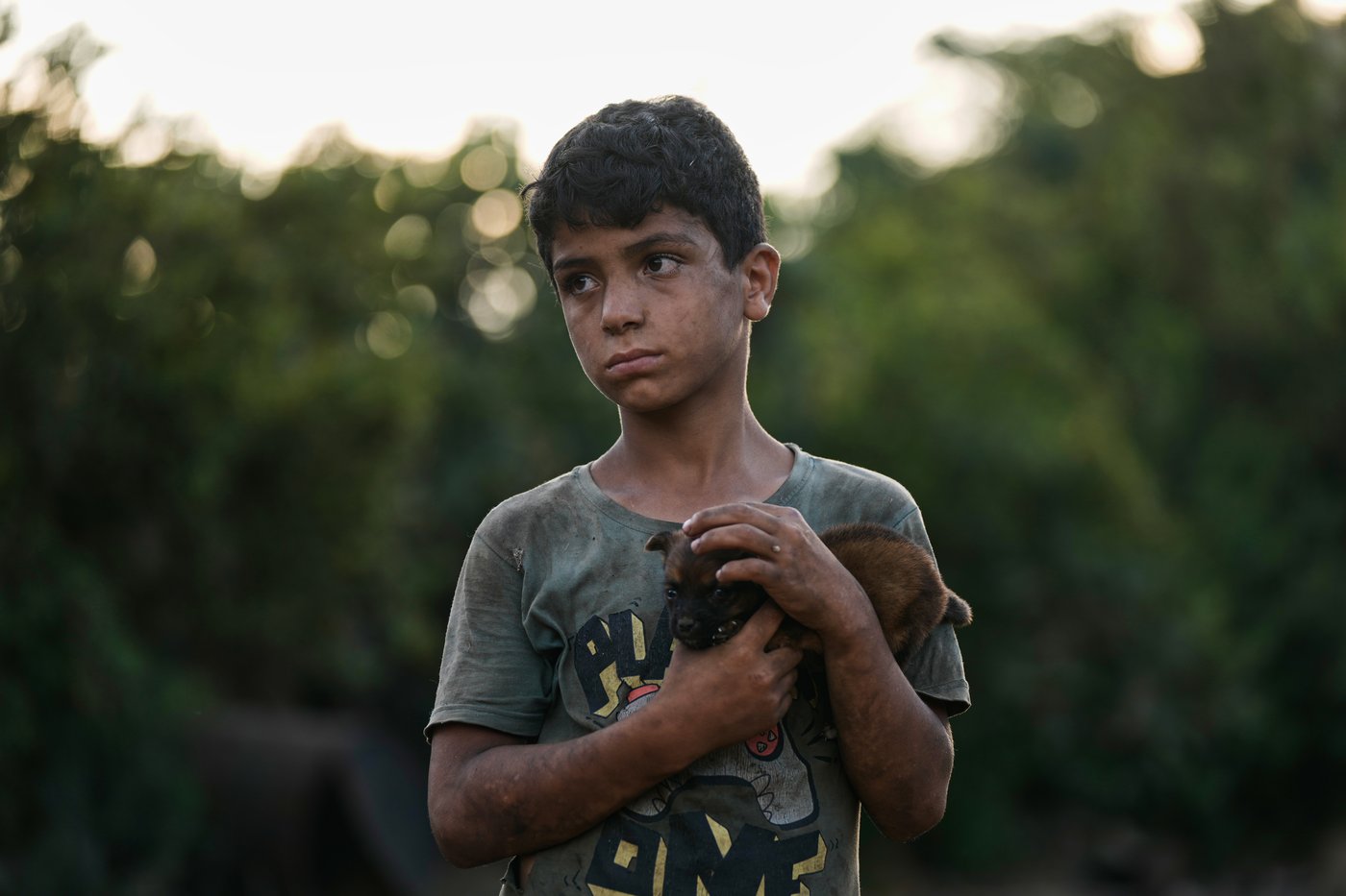 Photos of pets and farm animals rescued from the war in southern Lebanon | iNFOnews.ca