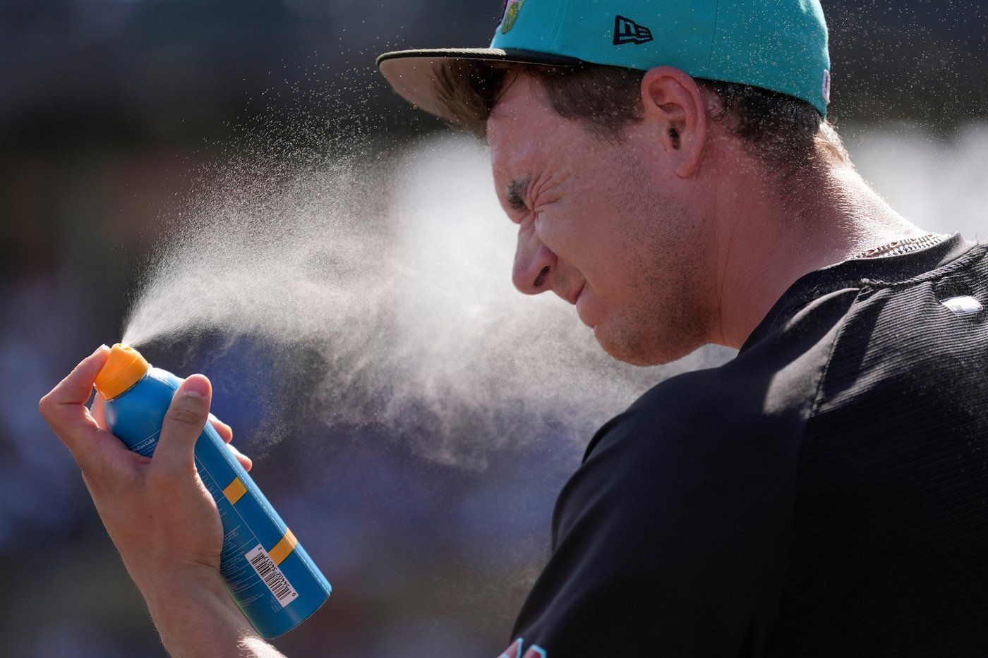 Photos from Major League Baseball spring training | iNFOnews.ca