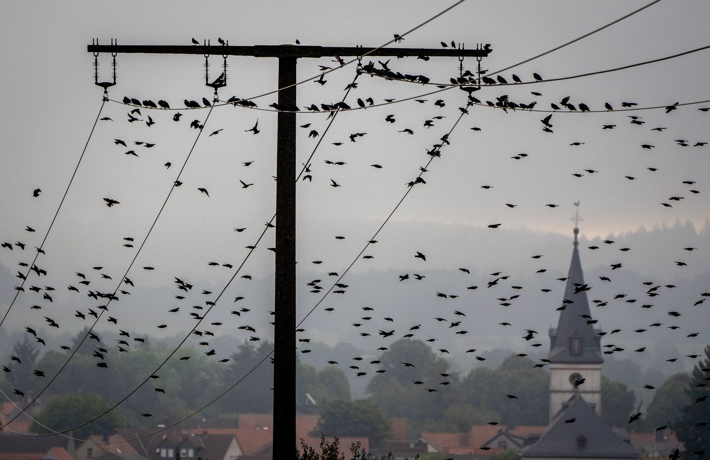 PHOTO COLLECTION: Climate Environment Germany Nature | iNFOnews.ca