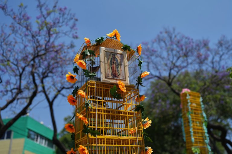 Photos of Mexico's bird vendors making their annual pilgrimage to the Basilica of Guadalupe | iNFOnews.ca